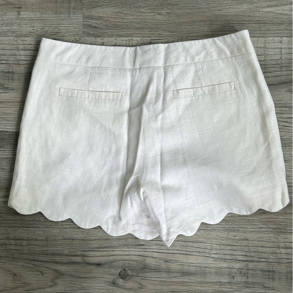 Kenji Anthropologie Blue Paisley and  Alice Collection White Lined Shorts Sz 8 - Picture 5 of 10